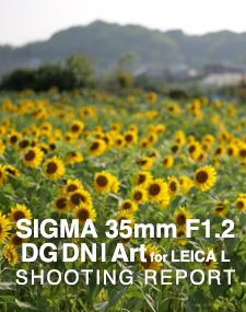 SIGMA 35mm F1.2 DG DN | Art for LEICA L  SHOOTING REPORT