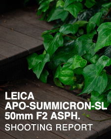 LEICA APO-SUMMICRON-SL 50mm F2 ASPH.  SHOOTING REPORT