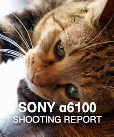 SONY α6100  SHOOTING REPORT