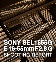 SONY SEL1655G E 16-55mm F2.8 G  SHOOTING REPORT
