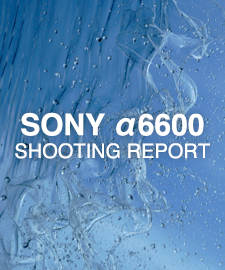 SONY α6600 II  SHOOTING REPORT