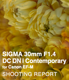 SIGMA 30mm F1.4 DG DN | Contemporary for Canon EF-M  SHOOTING REPORT