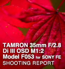 TAMRON 35mm F/2.8 Di III OSD M1:2 Model F053  SHOOTING REPORT