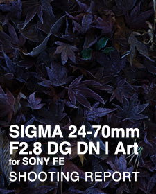 SIGMA 24-70mm F2.8 DG DN | Art for SONY FE  SHOOTING REPORT Vol.2