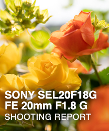 SONY SEL20F18G FE 20mm F1.8 G  SHOOTING REPORT