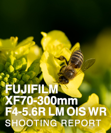 FUJIFILM XF70-300mmF4-5.6R LM OIS WR  SHOOTING REPORT