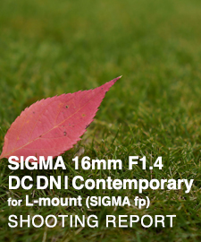 SIGMA 16mm F1.4 DC DN | Contemporary  SHOOTING REPORT