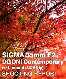 SIGMA 35mm F2 DG DN | Contemporary on SIGMA fp  SHOOTING REPORT