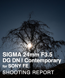 SIGMA 24mm F3.5 DG DN | Contemporary for SONY FE  SHOOTING REPORT