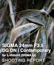 SIGMA 24mm F3.5 DG DN | Contemporary on SIGMA fp  SHOOTING REPORT