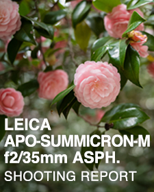 LEICA APO-SUMMICRON-M f2/35mm ASPH.  SHOOTING REPORT