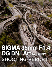 SIGMA 35mm F1.4 DG DN | Art for SONY FE  SHOOTING REPORT