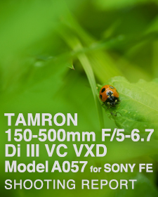 TAMRON 150-500mm F/5-6.7 Di III VC VXD Model A057  SHOOTING REPORT