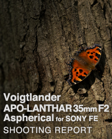 Voigtlander APO-LANTHAR 35mm F2 Aspherical  SHOOTING REPORT