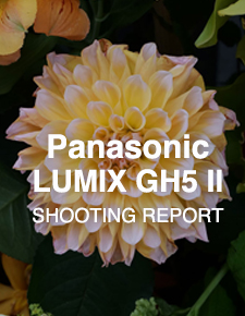 Panasonic LUMIX DC-GH5 II  SHOOTING REPORT
