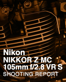 Nikon NIKKOR Z MC 105mm f/2.8 VR S  SHOOTING REPORT