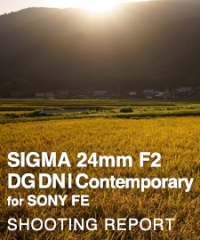 SIGMA 24mm F2 DG DN | Contemporary for SONY FE  SHOOTING REPORT