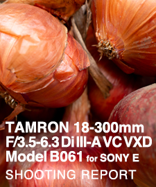 TAMRON 18-300mm F3.5-6.3 Di III-A VC VXD Model B061 for SONY FE  SHOOTING REPORT