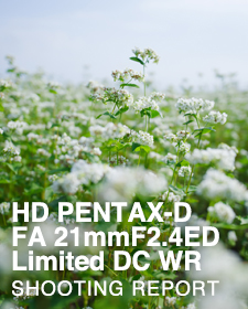 HD PENTAX-D FA 21mmF2.4ED Limited DC WR  SHOOTING REPORT