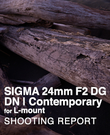 SIGMA 24mm F2 DG DN | Contemporary for L-mount  SHOOTING REPORT