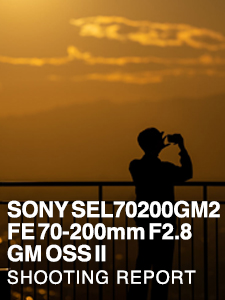 SONY SEL70200GM2 FE 70-200mm F2.8 GM OSS II  SHOOTING REPORT