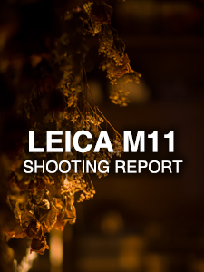 LEICA M11  SHOOTING REPORT