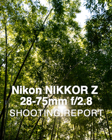 Nikon NIKKOR Z 28-75mm f/2.8  SHOOTING REPORT