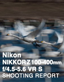 Nikon NIKKOR Z 100-400mm f/4.5-5.6 VR S  SHOOTING REPORT