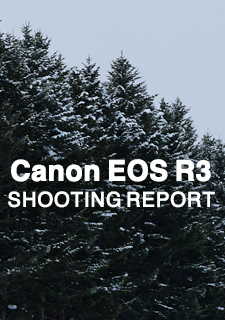 Canon EOS R3  SHOOTING REPORT