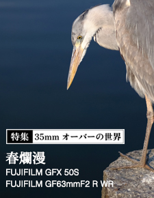 特集：35mmオーバーの世界・富士フイルム編 - (2) FUJIFILM GFX 50S × GF63mmF2.8 R WR 「春爛漫」