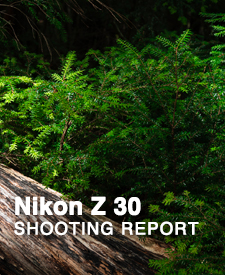 Nikon Z 30  SHOOTING REPORT
