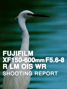 FUJIFILM XF150-600mm F5.6-8 R LM OIS WR  SHOOTING REPORT