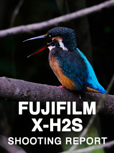FUJIFILM X-H2S SHOOTING REPORT