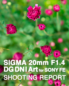 SIGMA 20mm F1.4 DG DN | Art for SONY FE SHOOTING REPORT