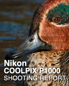 Nikon P1000  SHOOTING REPORT