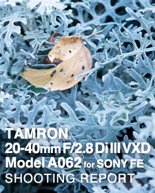 TAMRON 20-40mm F/2.8 Di III VXD Model A062 for SONY FE  SHOOTING REPORT