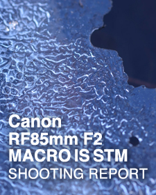Canon RF85mm F2 MACRO IS STM  SHOOTING REPORT