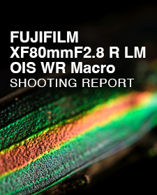 FUJIFILM XF80mmF2.8 R LM OIS WR Macro  SHOOTING REPORT