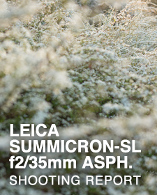 LEICA SUMMICRON-SL f2/35mm ASPH.  SHOOTING REPORT