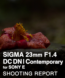 SIGMA 23mm F1.4 DC DN | Contemporary for SONY FE SHOOTING REPORT