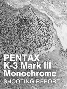 PENTAX K-3 Mark III Monochrome  SHOOTING REPORT