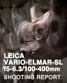 LEICA VARIO-ELMAR-SL f5-6.3/100-400mm  SHOOTING REPORT