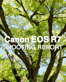 Canon EOS R7  SHOOTING REPORT Vol.2