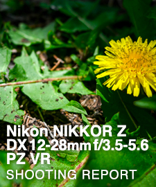 NIKKOR Z DX 12-28mm f/3.5-5.6 PZ VR  SHOOTING REPORT