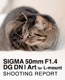 SIGMA 50mm F1.4 DG DN | Art for L-mount  SHOOTING REPORT