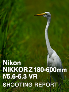 Nikon NIKKOR Z 180-600mm f/5.6-6.3 VR  SHOOTING REPORT