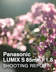 Panasonic LUMIX S 85mm F1.8  SHOOTING REPORT