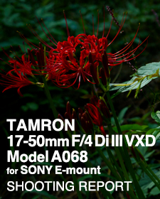 TAMRON 17-50mm F/4 Di III VXD Model A068 for SONY E-mount  SHOOTING REPORT