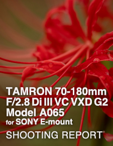 TAMRON 70-180mm F/2.8 Di III VC VXD G2 Model A065  SHOOTING REPORT