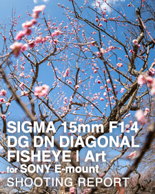 SIGMA 15mm F1.4 DG DN DIAGONAL FISHEYE | Art for SONY E-mount  SHOOTING REPORT